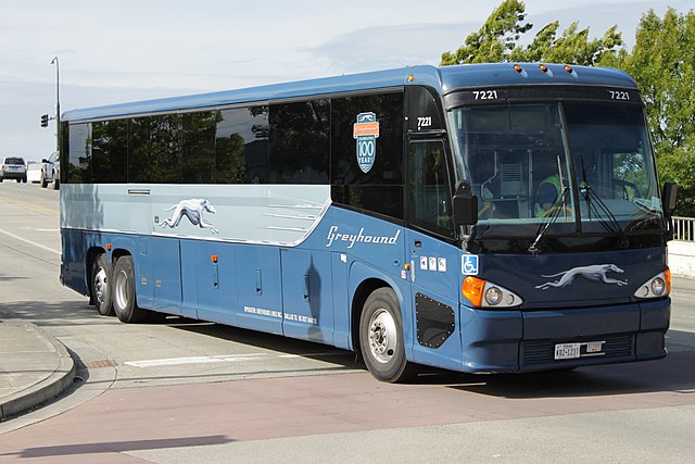 blue bus on road