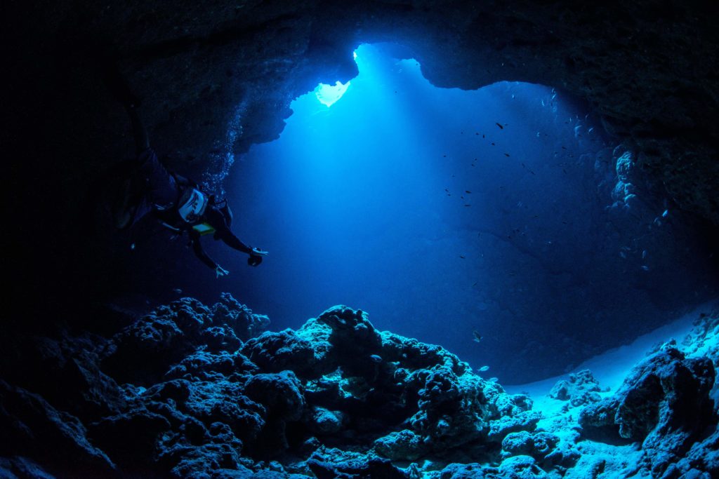 An underwater image of the Mariana Trench