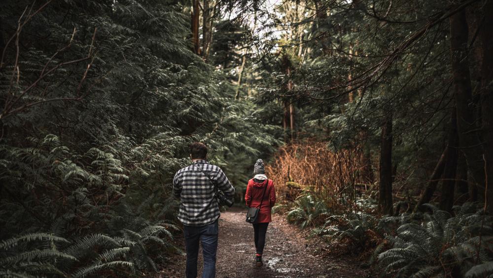A photograph of a man and a woman in the forest
