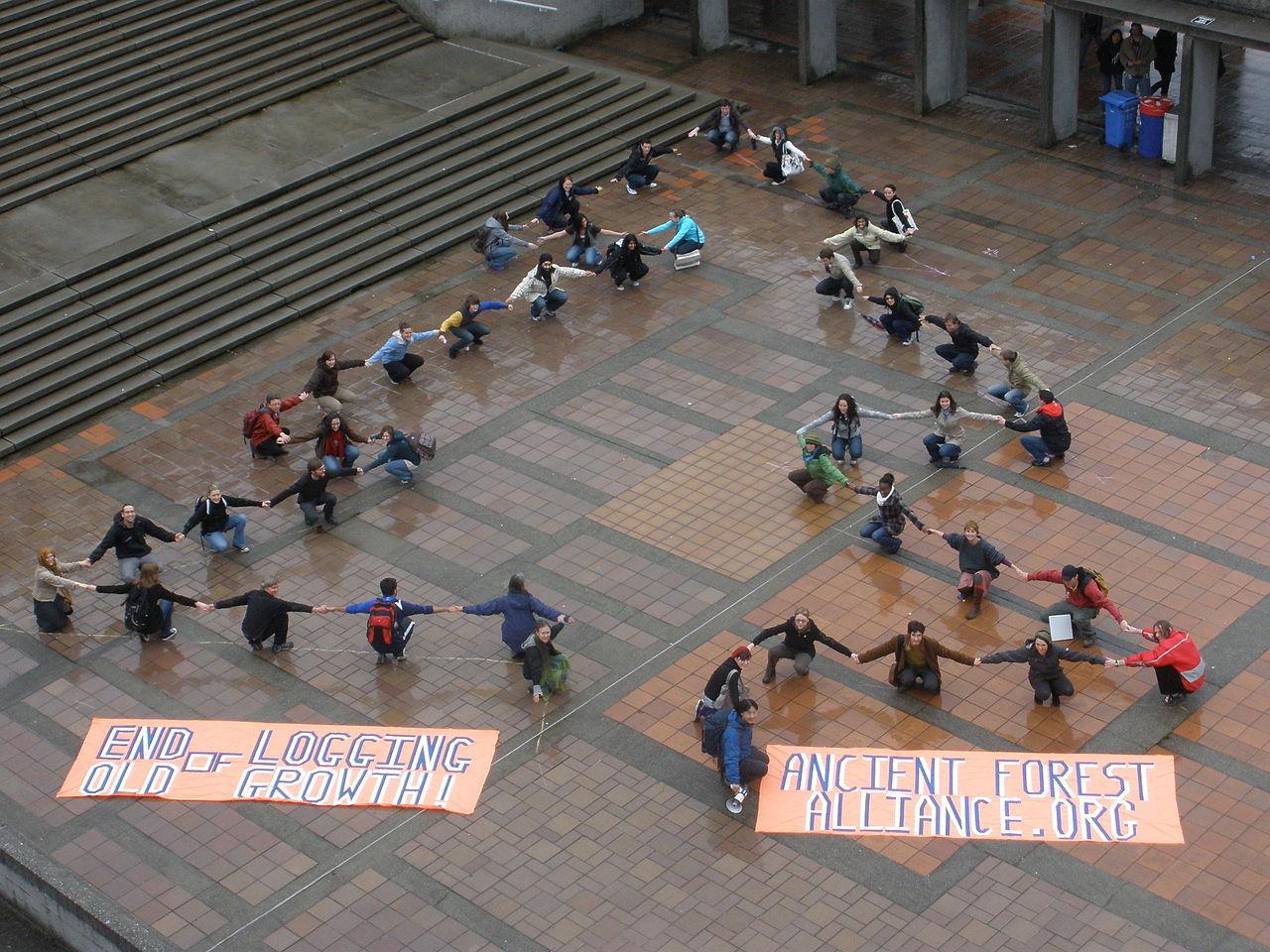A photograph of a group of protestors on the free