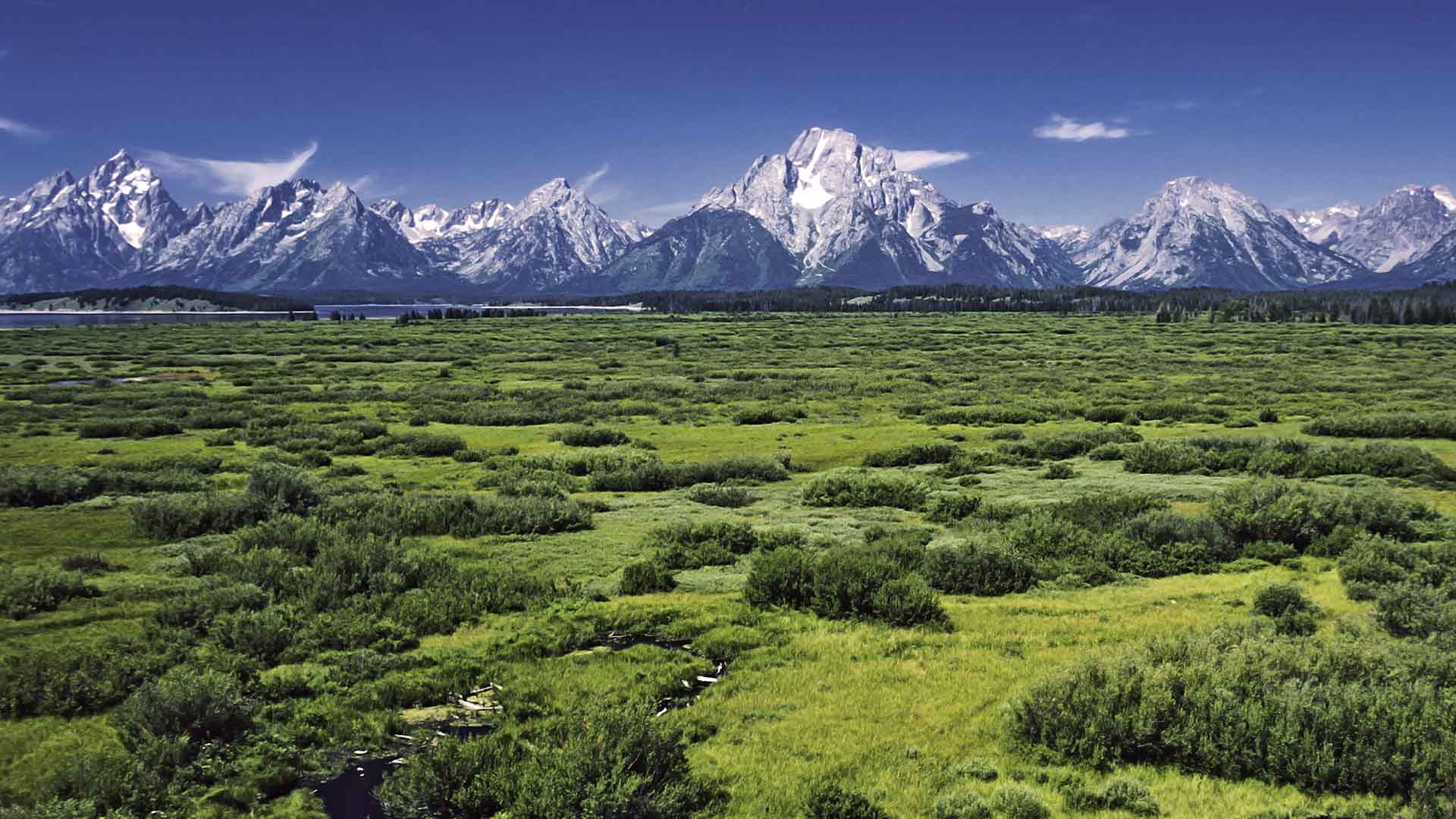 Willow Flats area and Teton Range in Grand Teton National Park
