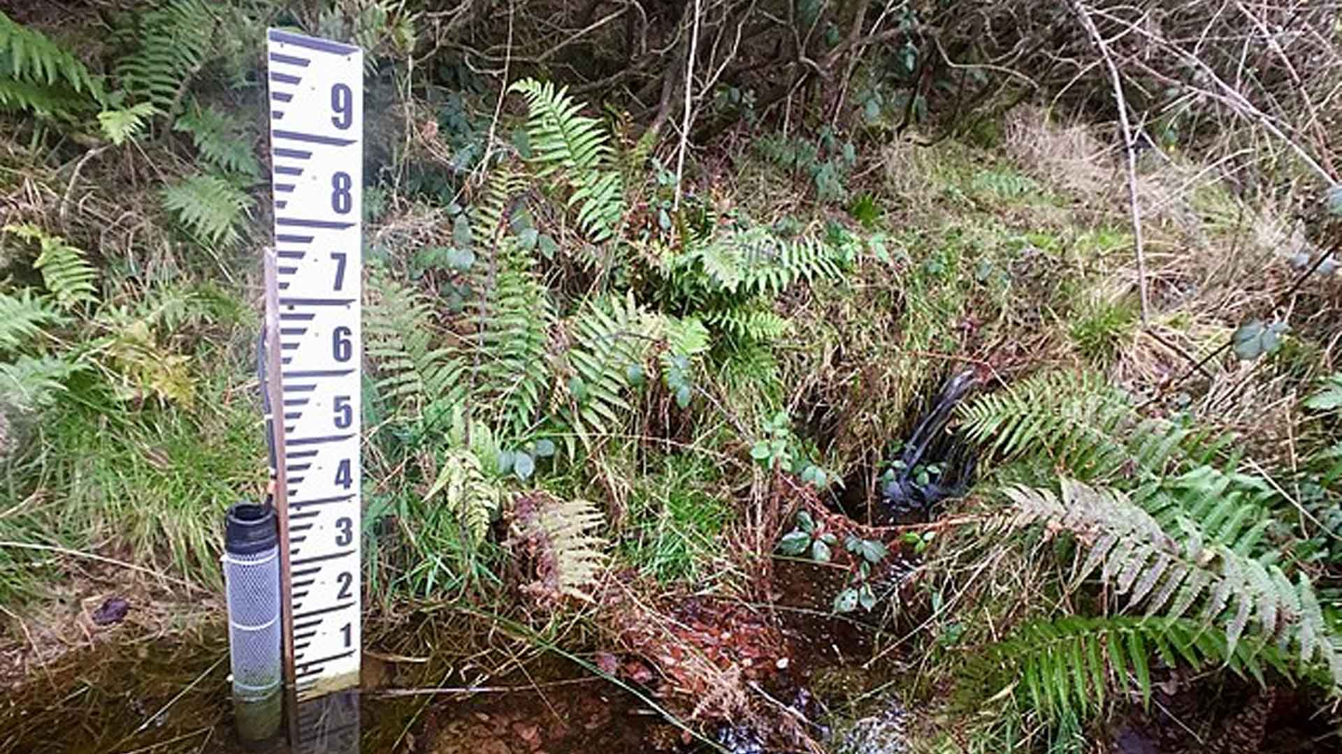 Water depth gauge