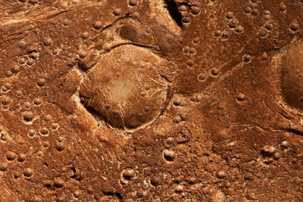 A photograph of a crater’s outline