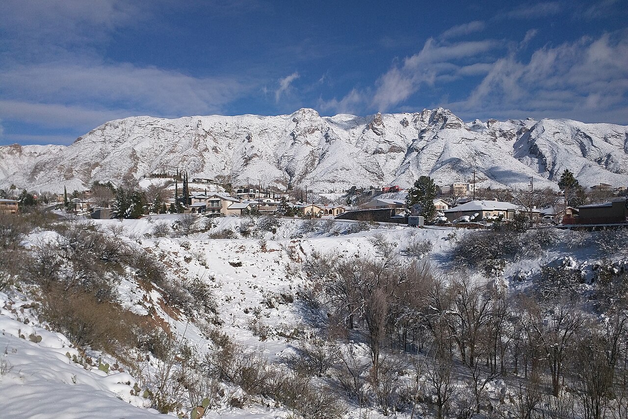 Snow covered forest in El Paso