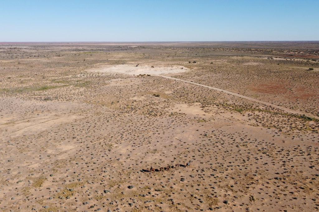 A photograph of a dry region in Southern Australia