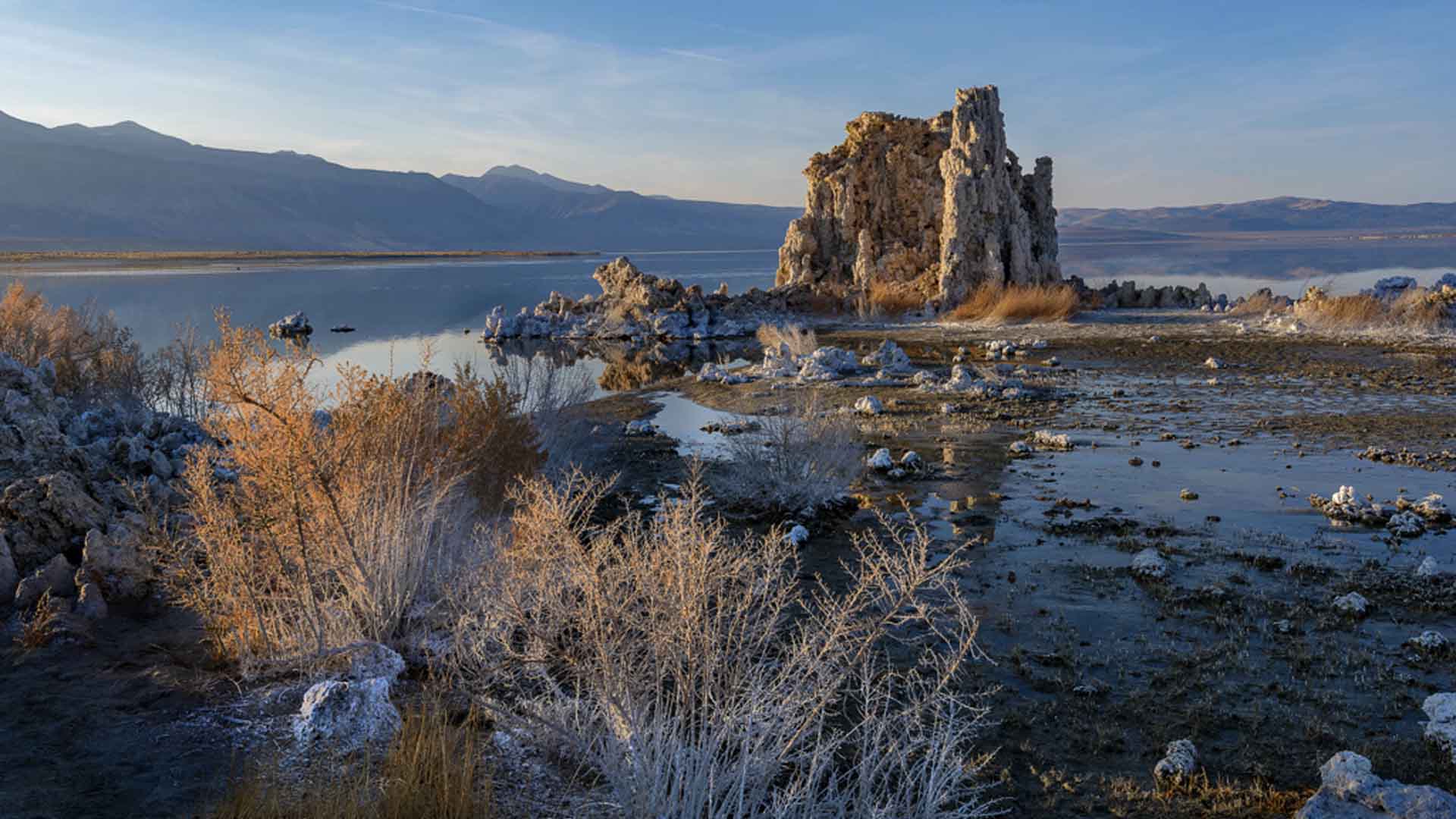Lake Mono with rocks and shrubs