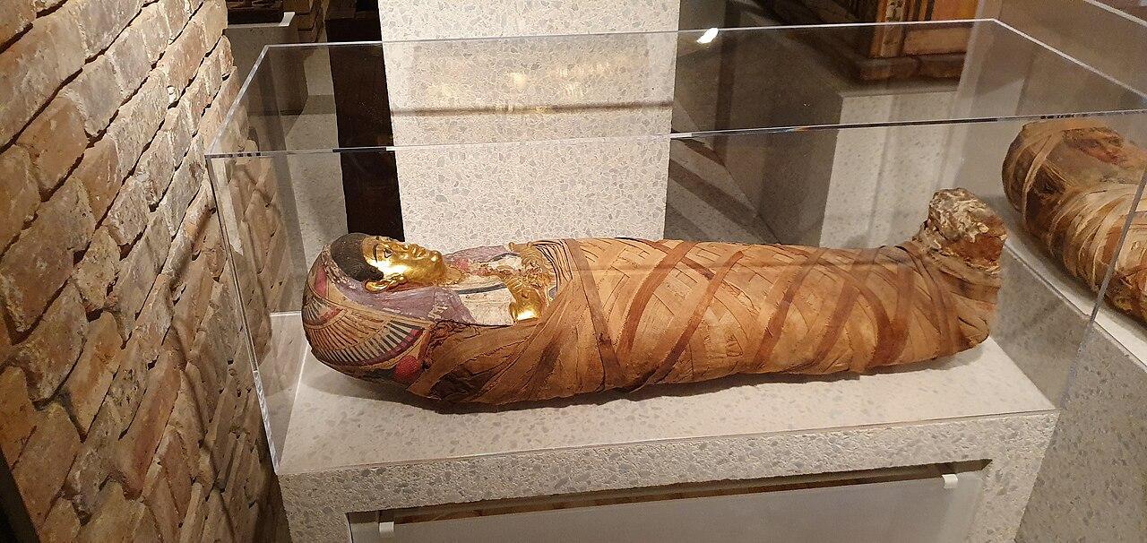 A photograph of an Egyptian mummy