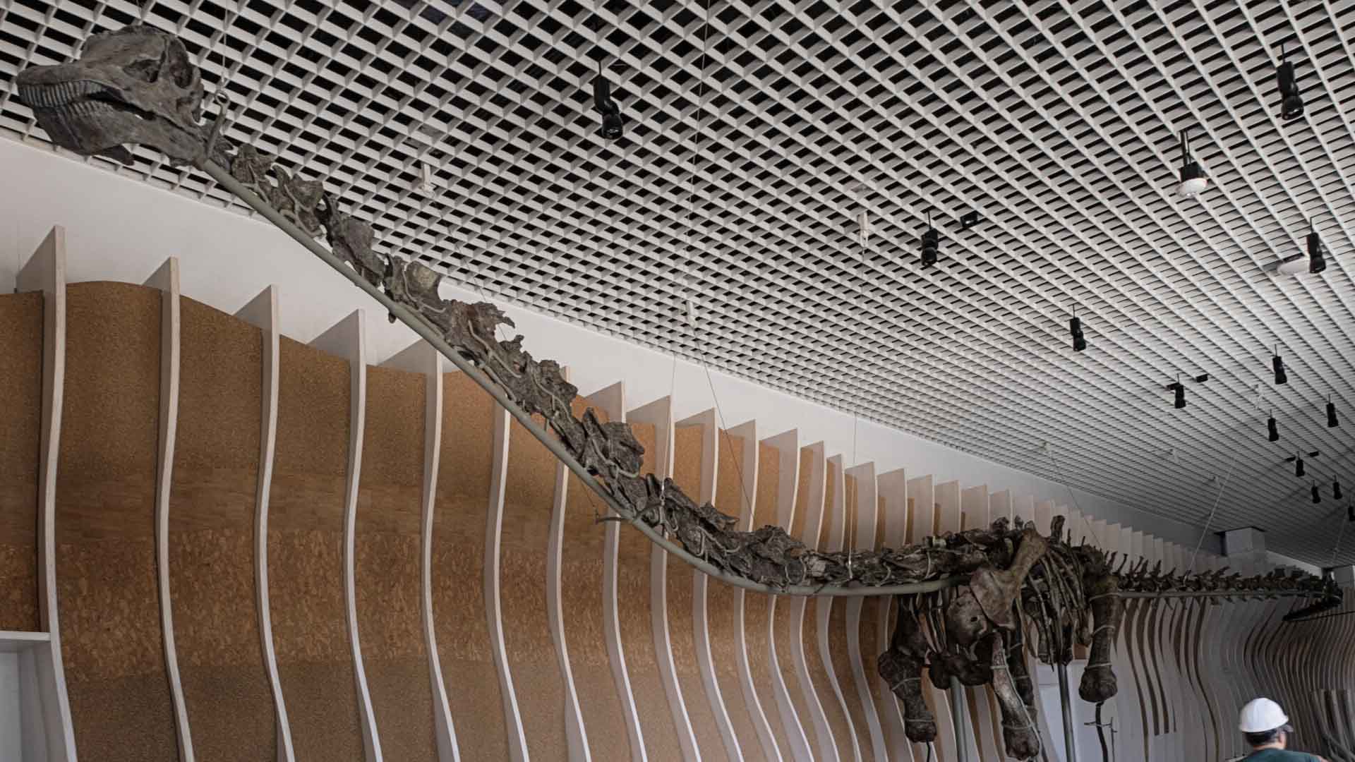 gnatalie the green-boned dino skeleton