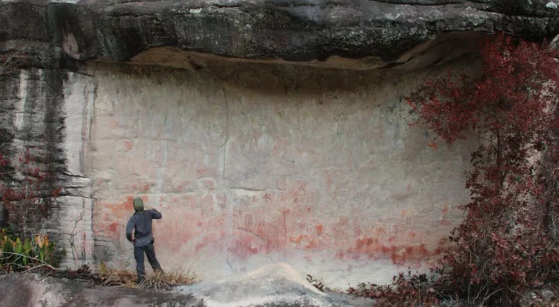 A photograph of a researcher standing beside a rock art site in Venezuela