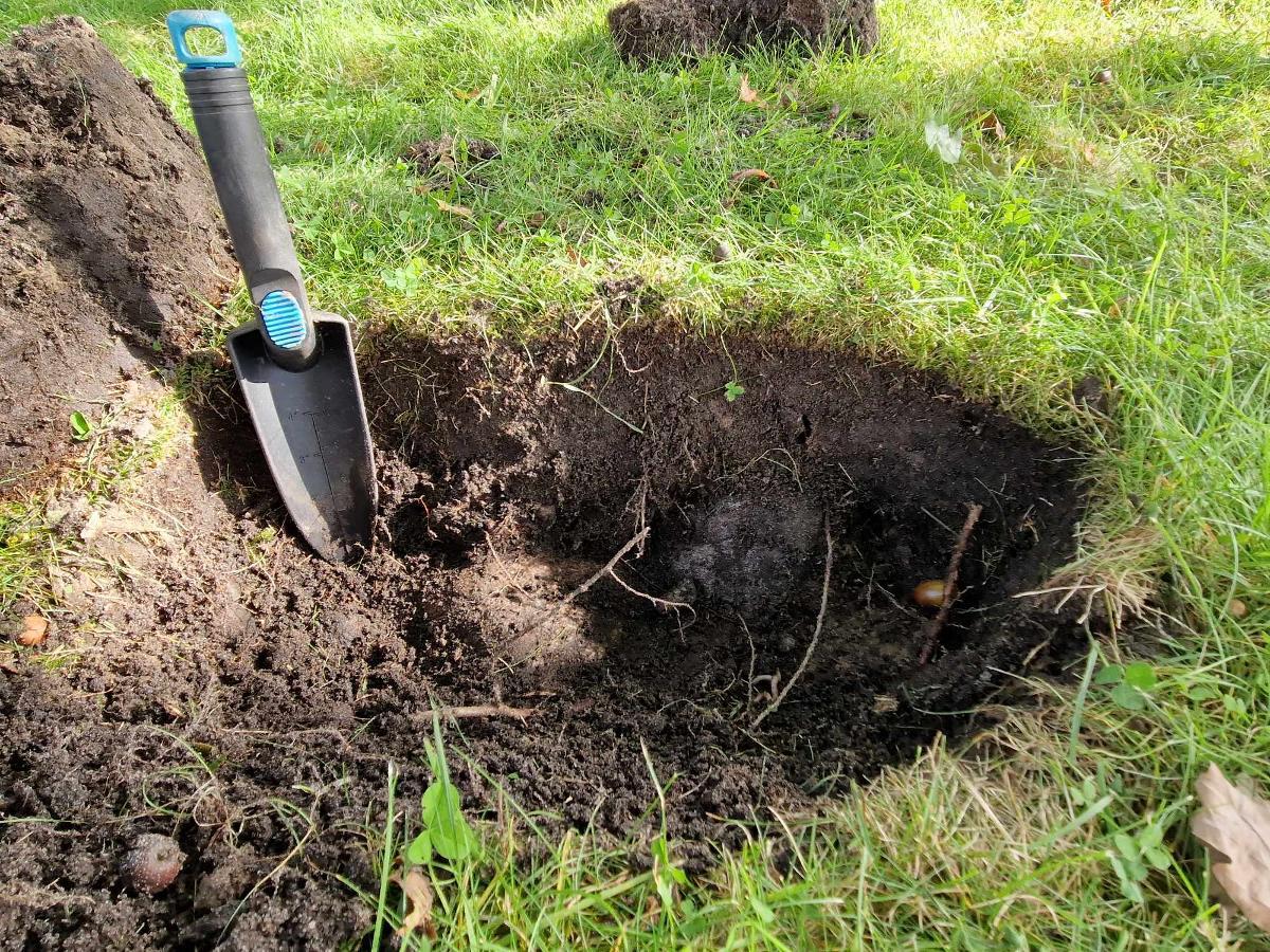 A photograph of a small garden shovel at the site in Norway