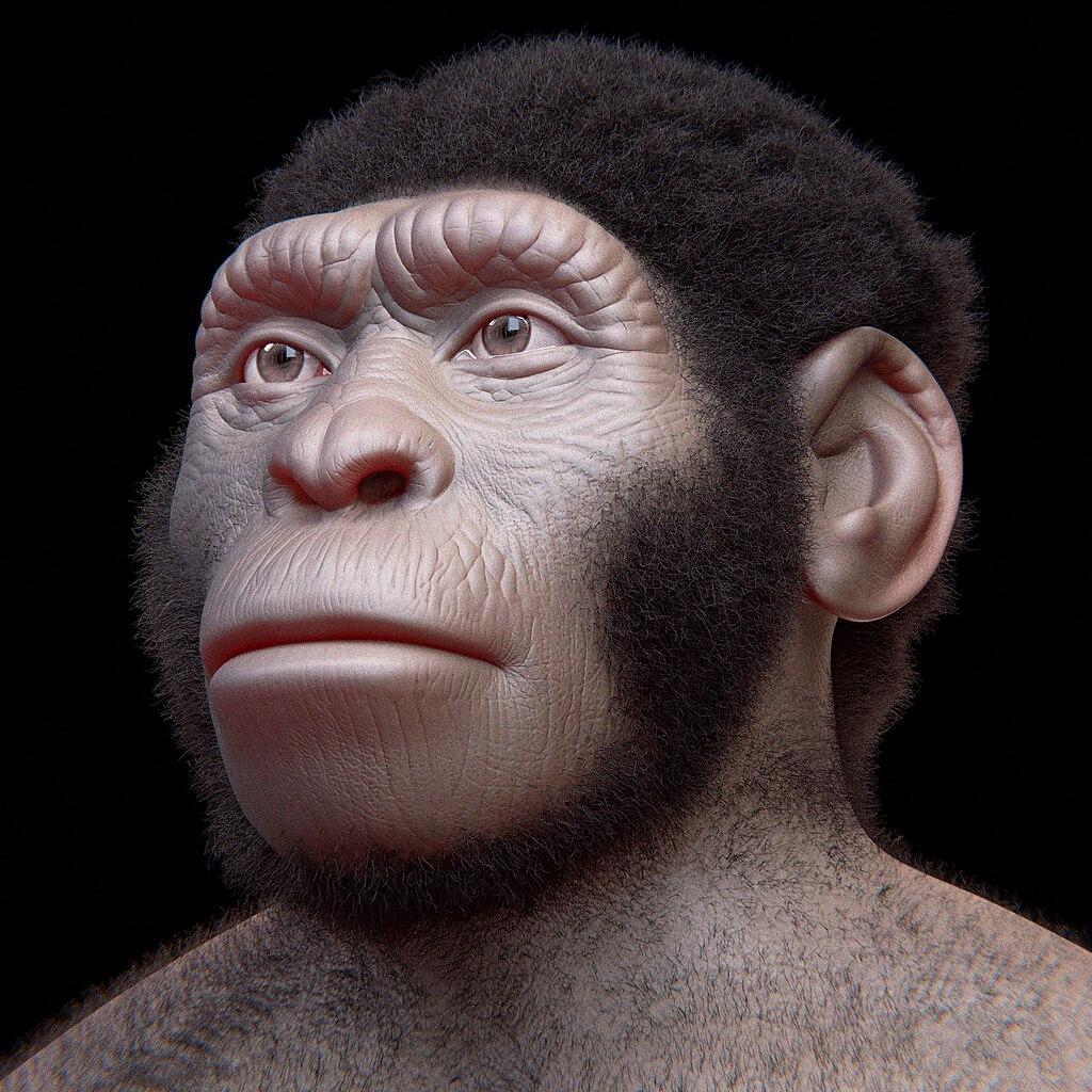 An artist's depiction of an ancient hominin known as Homo Naledi