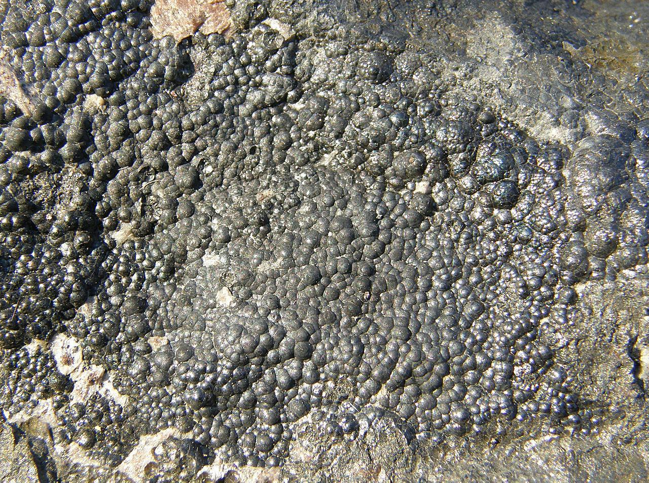A photograph of Uranium, which serves as one major source of Promethium