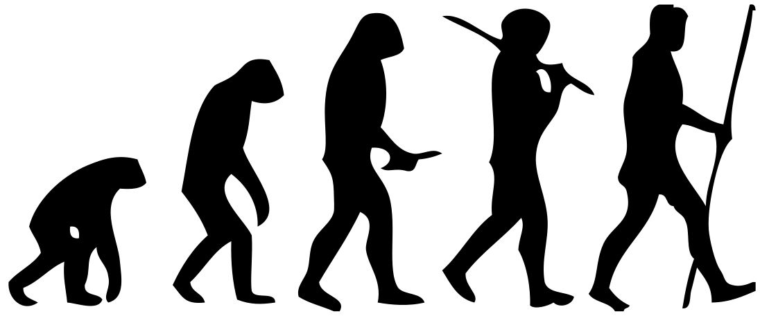 A photograph depicting evolution