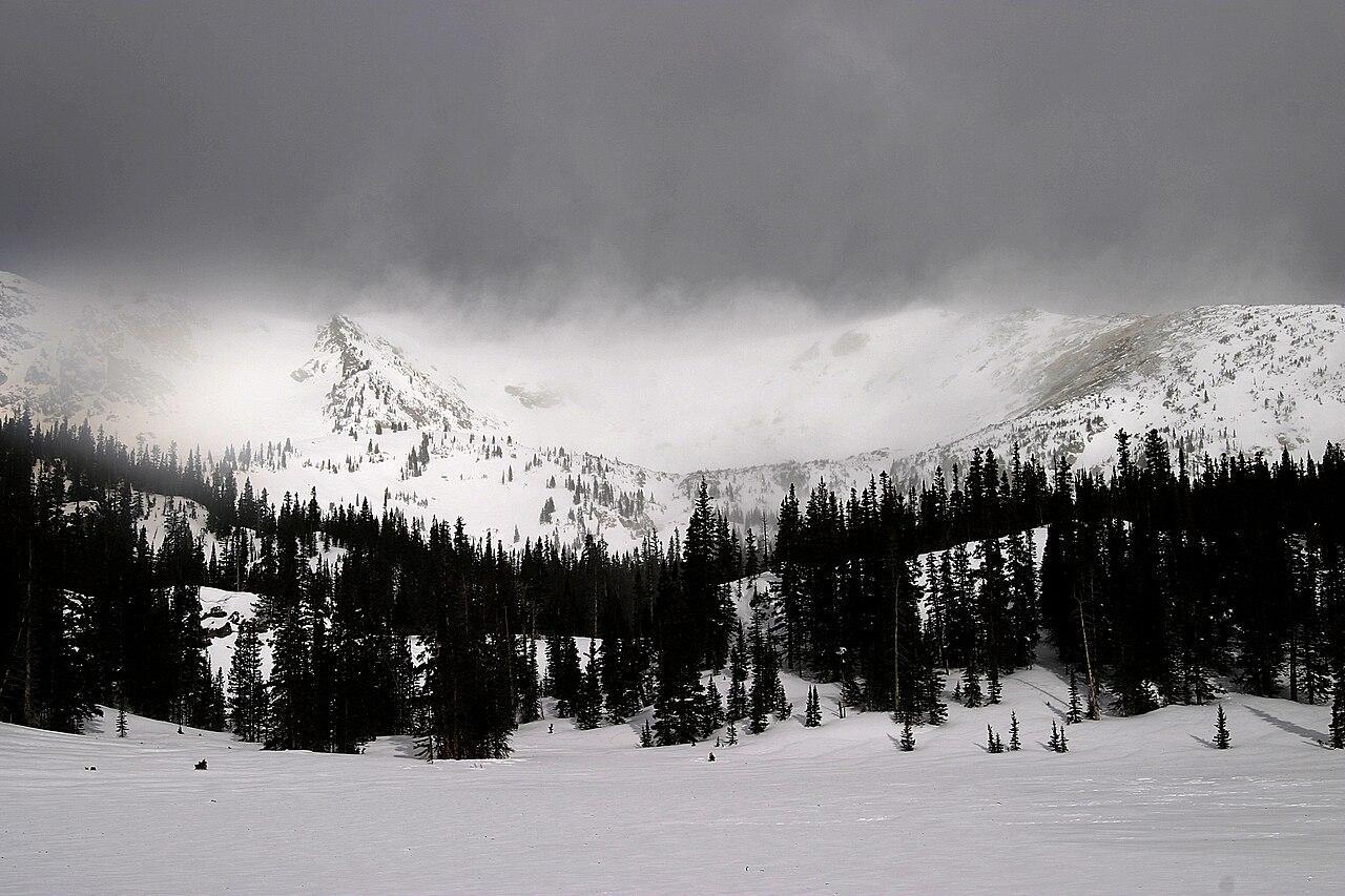 A wooded forest with several large mountains in the background