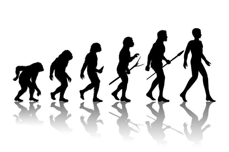 The picture depicts the evolution of humans over millions of years