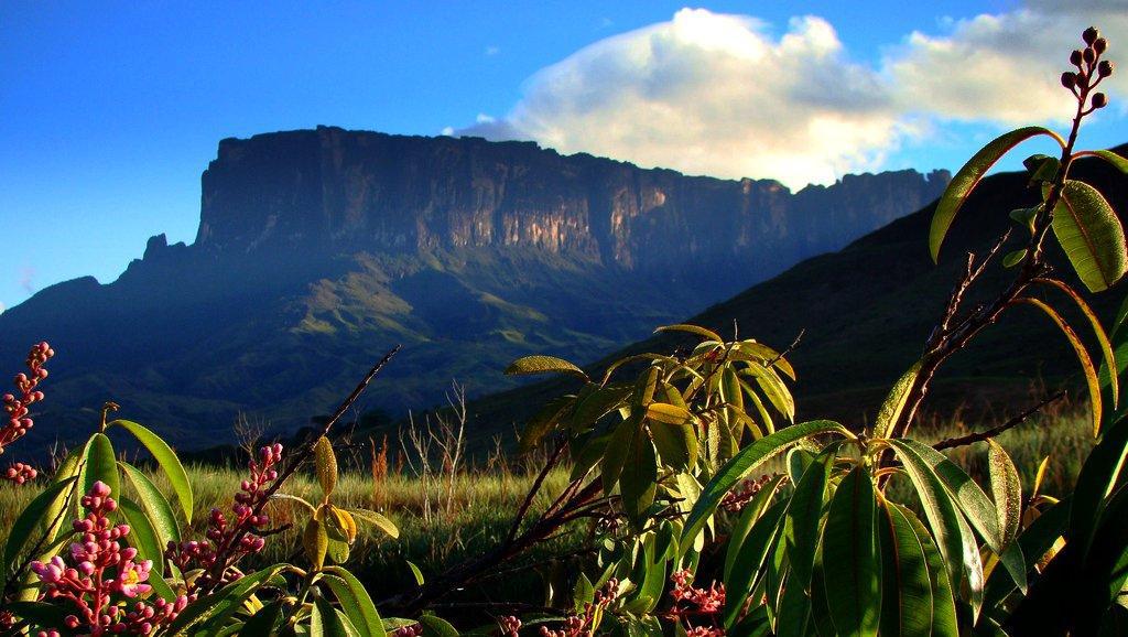 A photograph of a popular cliff in Canaima National Park