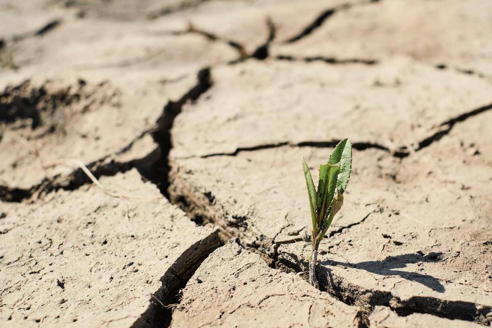 Mexico’s Drought is So Severe You Can See The Effects From Space