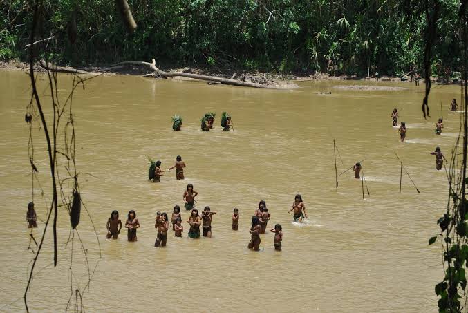 World’s Largest Isolated Tribe Makes Rare Appearance After Loggers Move In