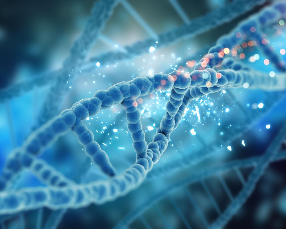 A photograph depicting an artist’s rendition of a DNA strand