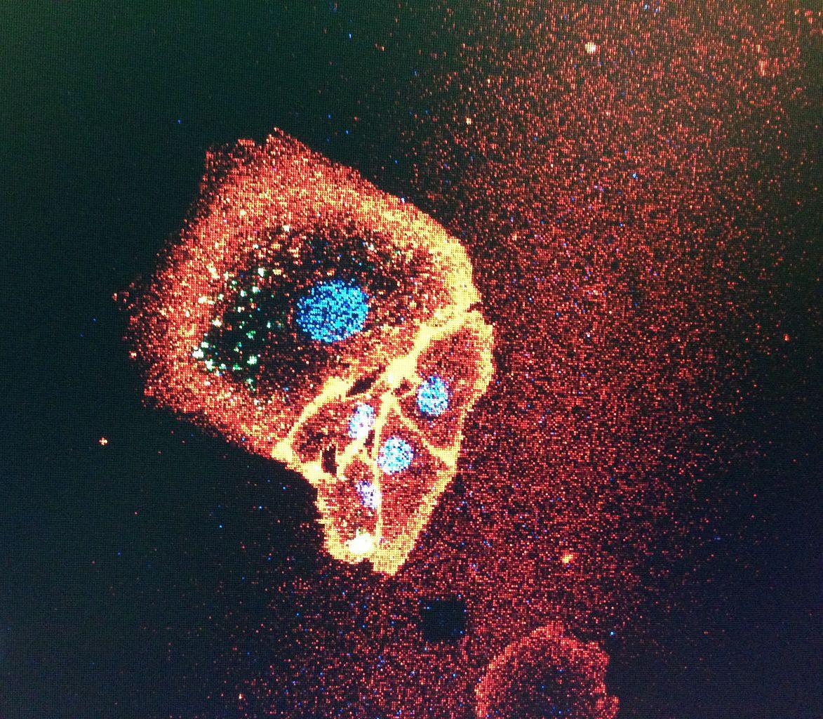 A researcher creates computer-generated images of a human cell