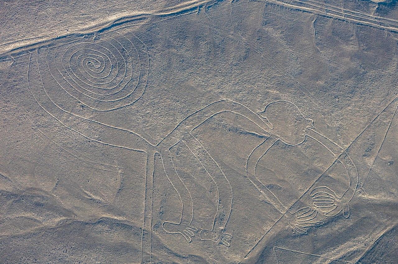 A photograph of a monkey geoglyph in Peru