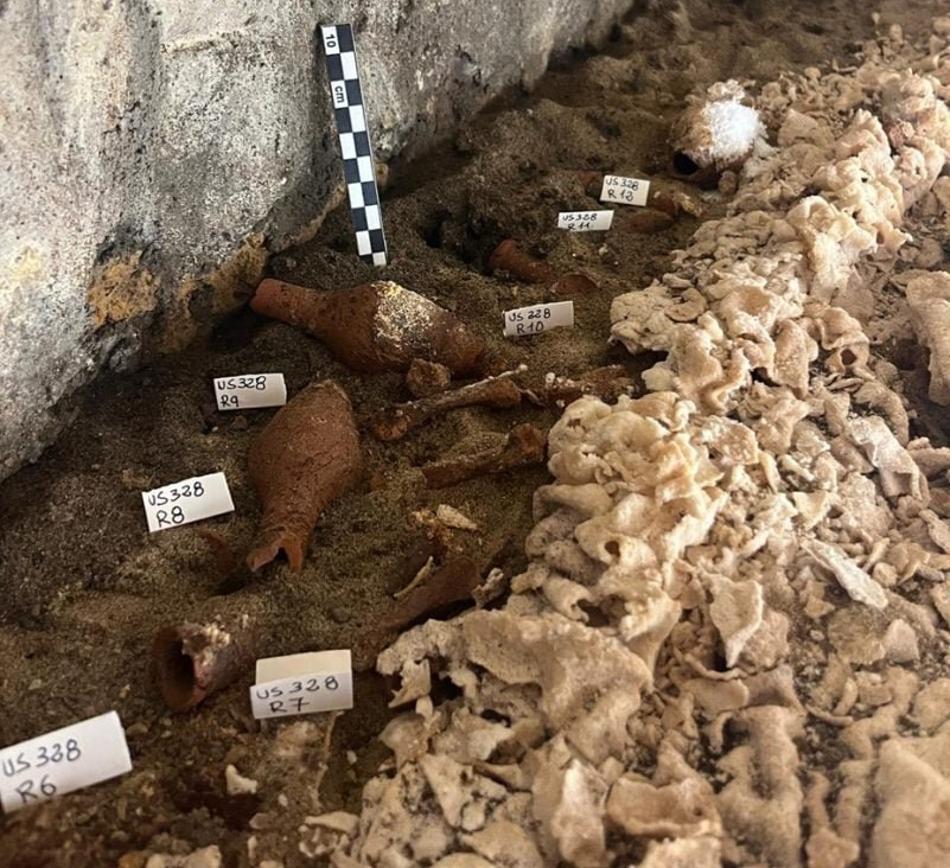 A photograph of the archaeological items discovered in the Naples tomb