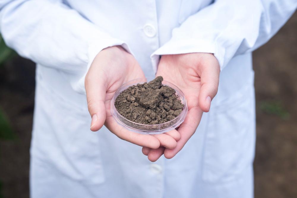 A photograph of a scientist pictured with a soil sample