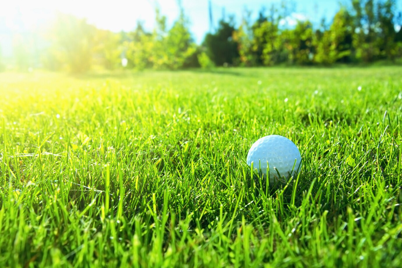 Golf ball on lawn