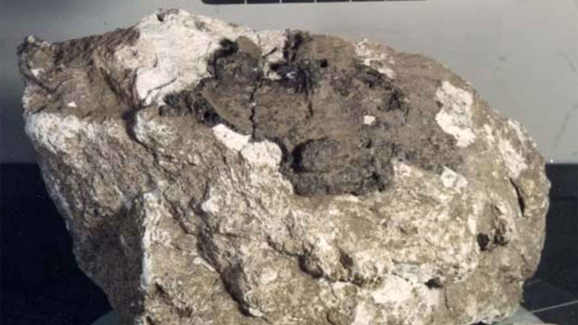 Ferroan Anorthosite