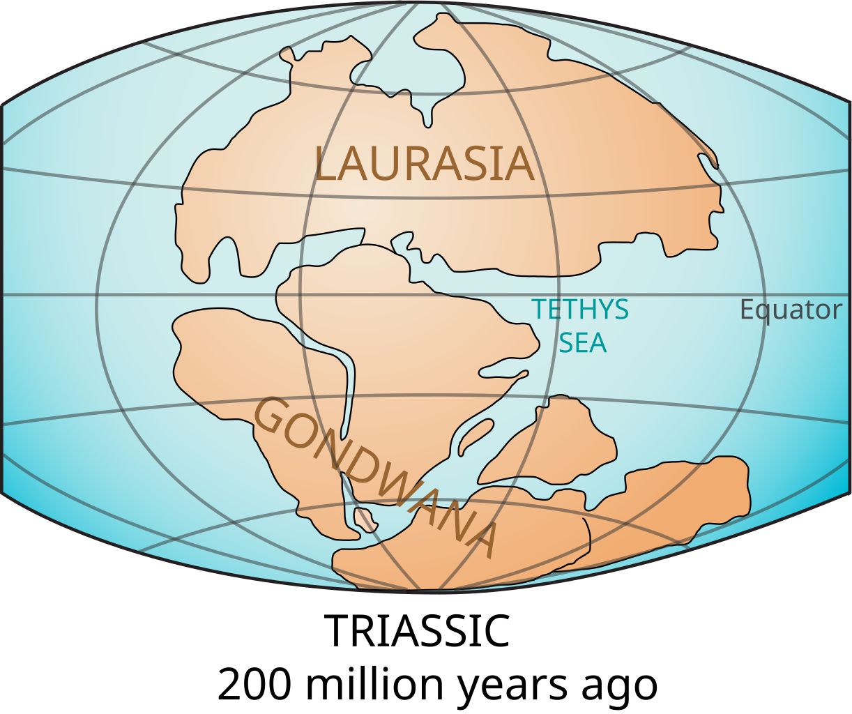 A map showcasing the extent of the Gondwana continent millions of years ago