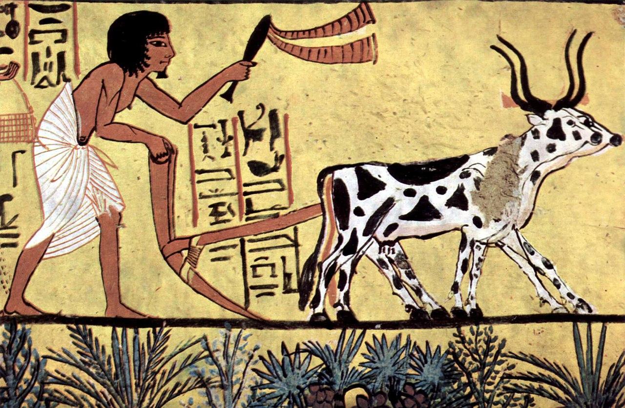 A photograph of a farming mural found in ancient Egypt