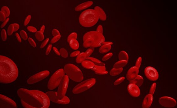 Blood cells concept