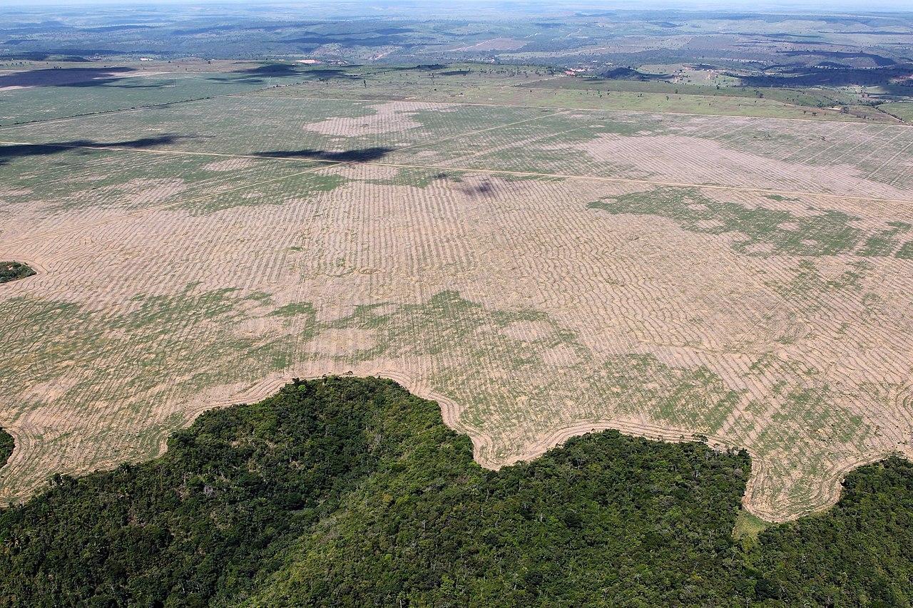 A photograph of a large deforested region