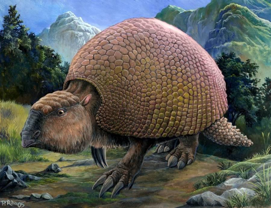 An artist's depiction of a prehistoric armadillo known as a glyptodon