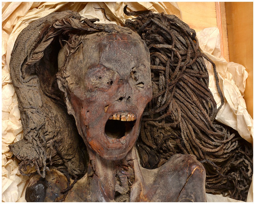 The screaming mummy