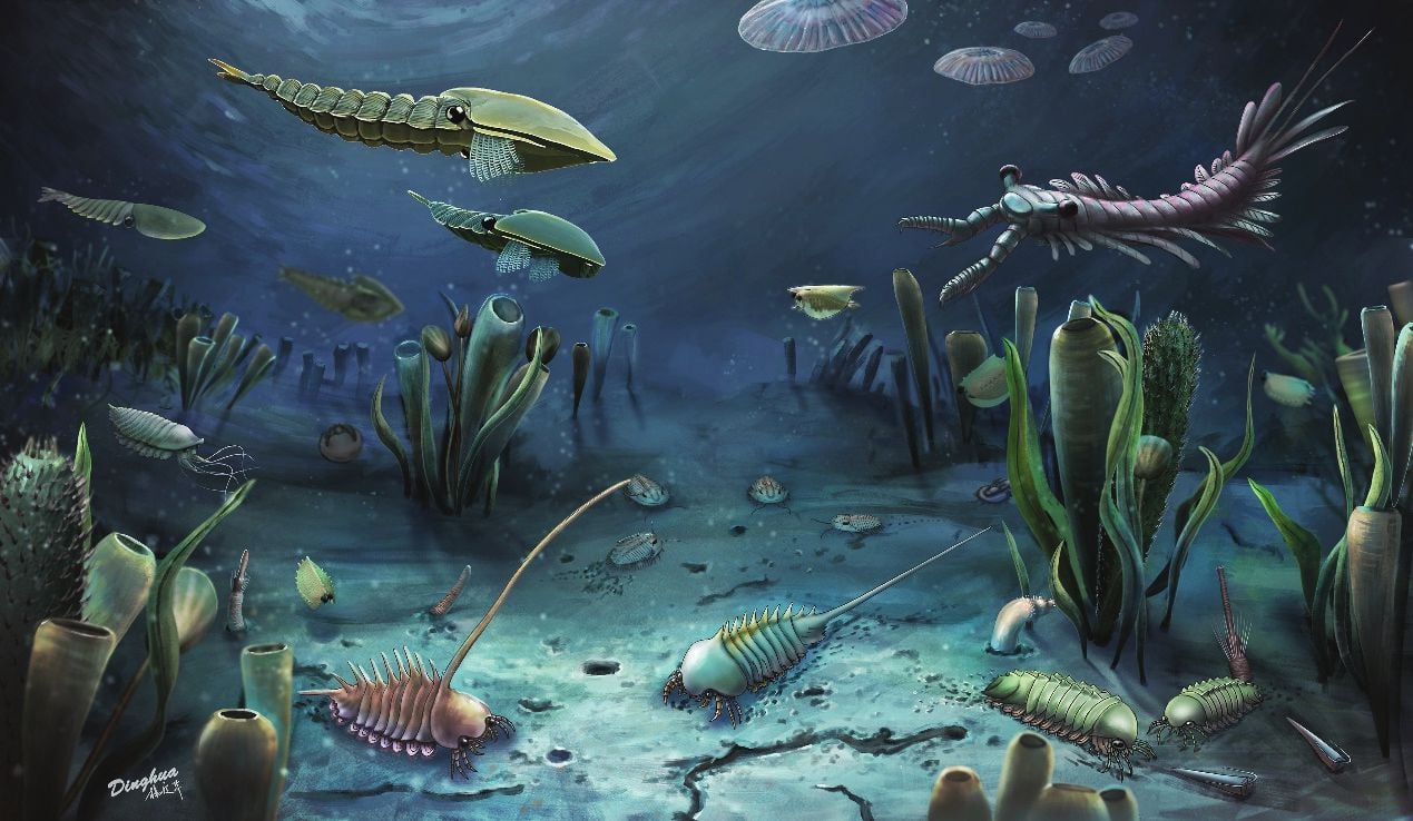 Scientists Unearth A 520 Million-Year-Old Fossil With Its Brains And ...