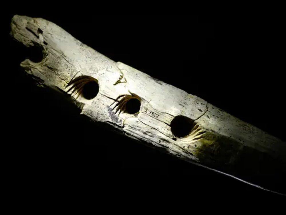 A photograph of the small ivory baton