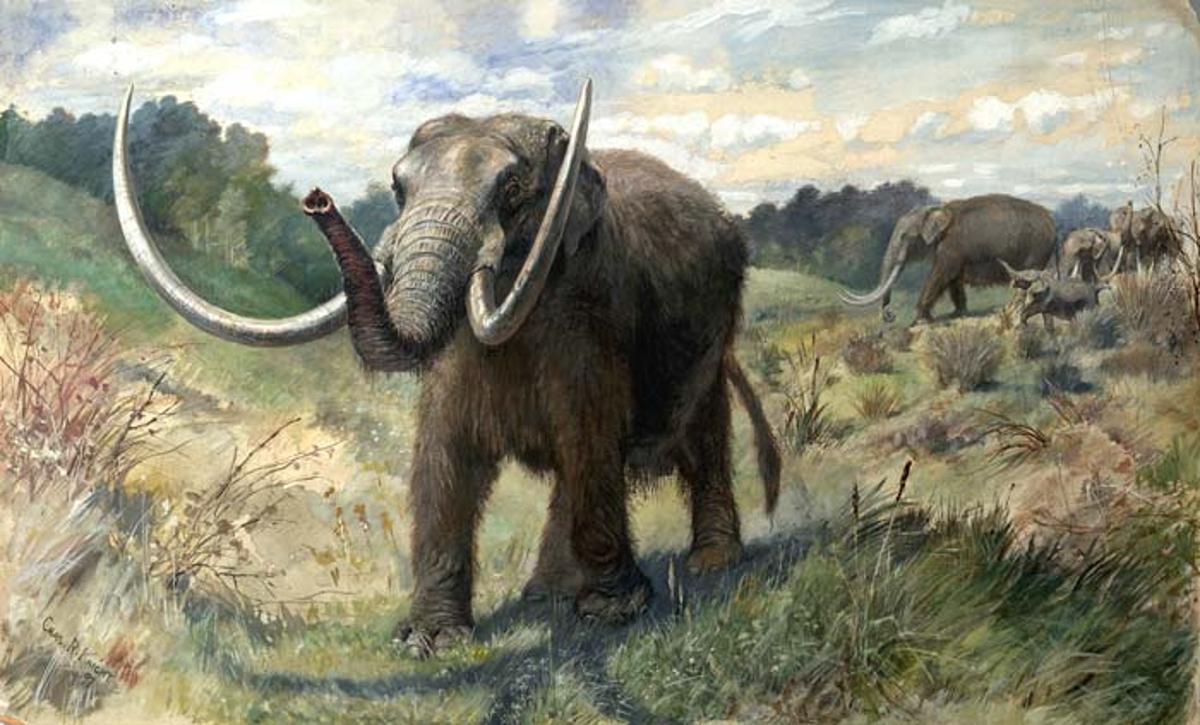 An artist's depiction of several mastodons