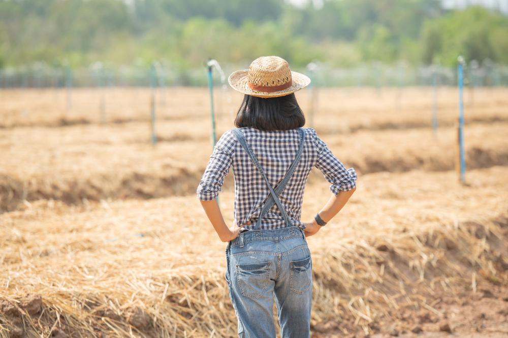 A photograph of a farmer standing in their field