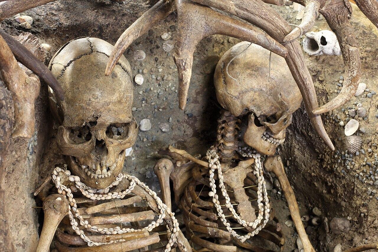 A photograph showcasing the remains of two skeletons