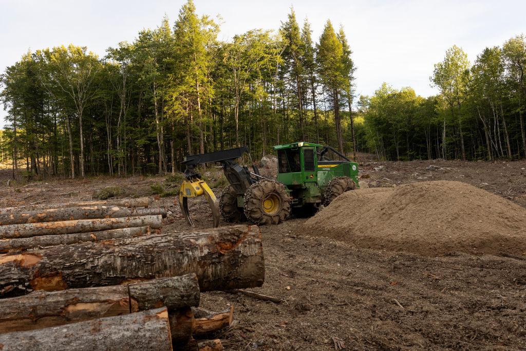 A photograph of workers stacking logs