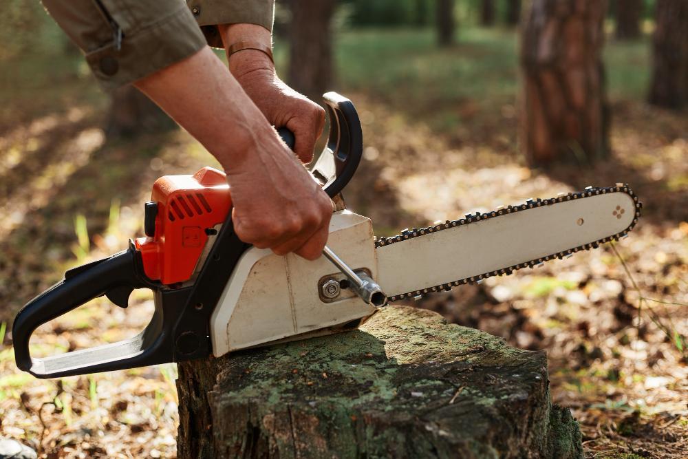 A man is pictured with a chainsaw in a forest
