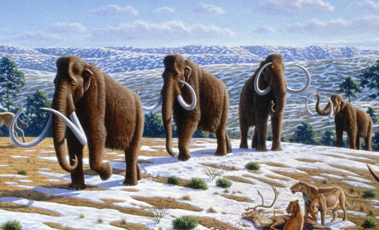 A painting of several mastodons in the wild