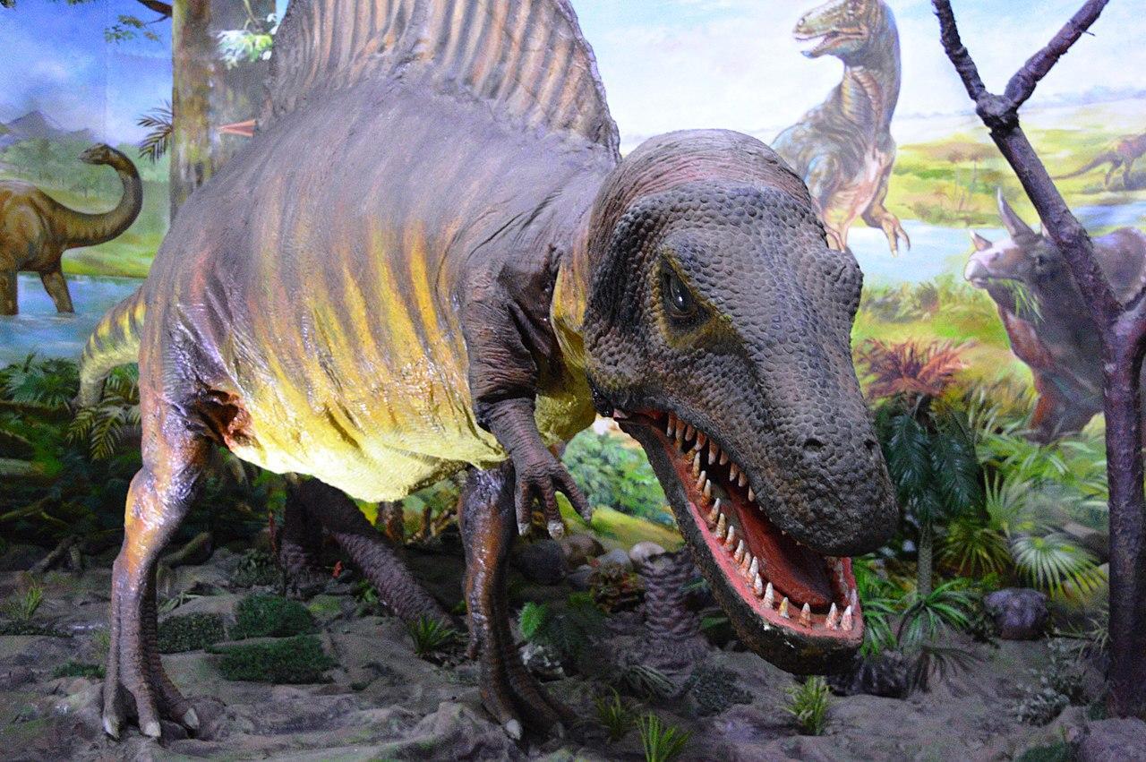A photograph of a dinosaur statue found in a museum