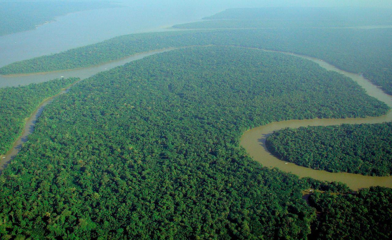 An aerial photograph of a large forest located in South America