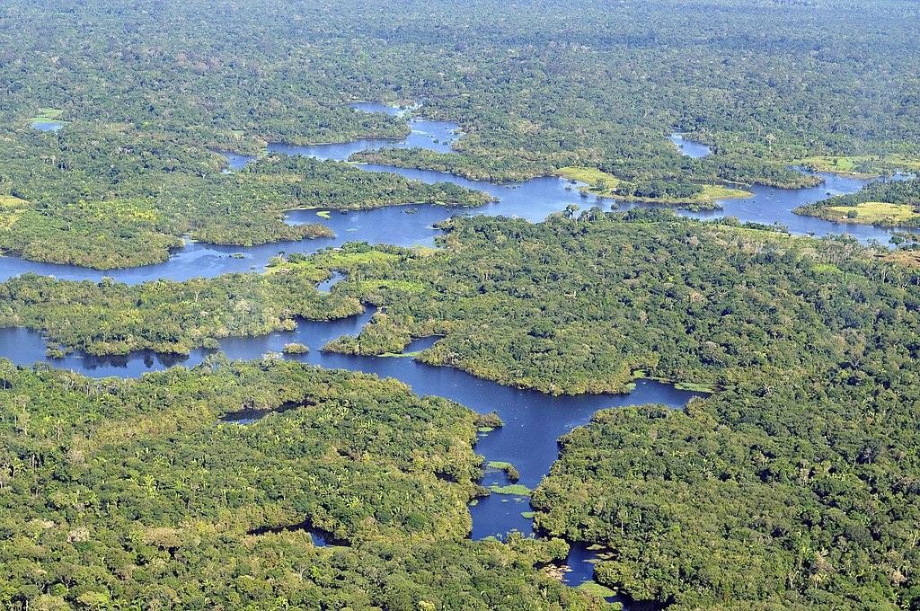 A photograph of the Amazon rainforest taken from the sky