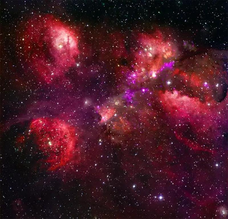 The Cat’s Paw Nebula located in the Milky Way
