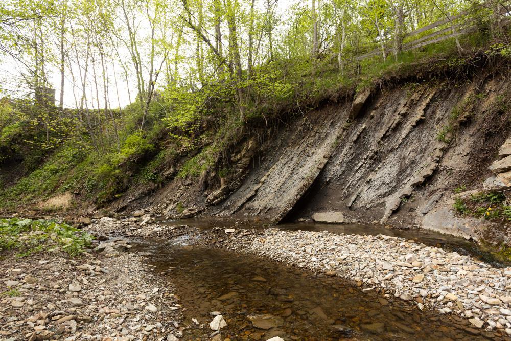 A photograph of a small creek