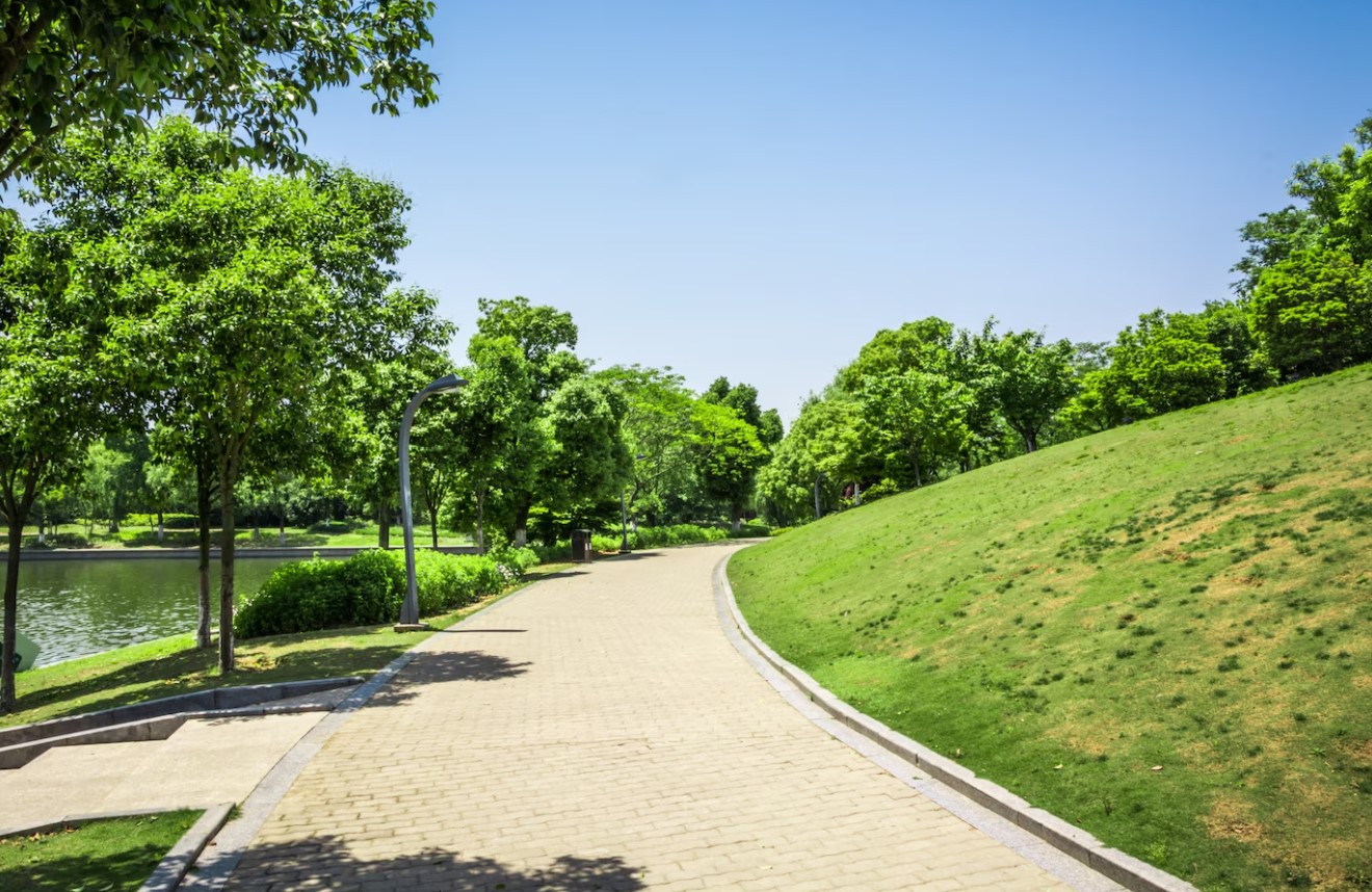 Park on a sunny day