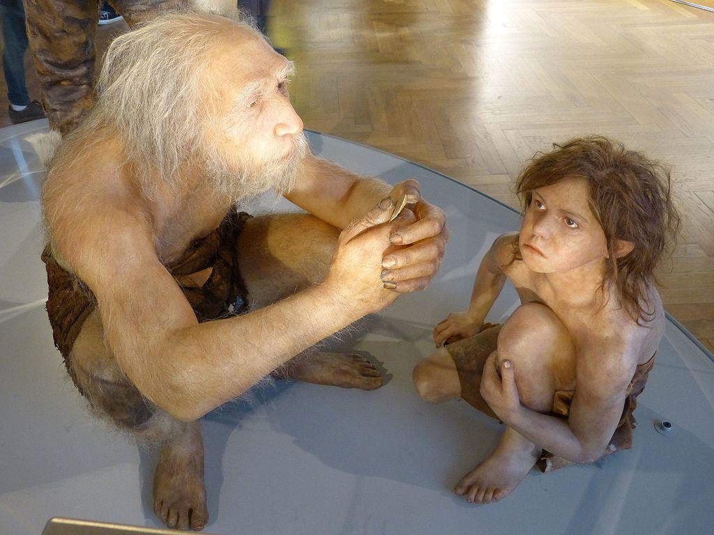 A recreation of a Neanderthal father and son in a museum